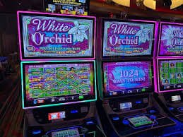 tompel slot featured game showcase